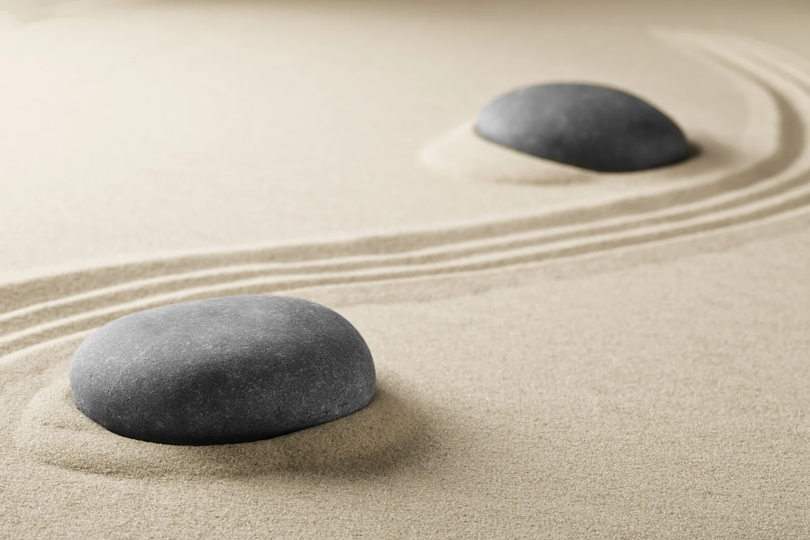 The Art of Minimalist Design